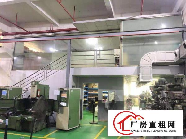  石排下沙原房东标准独院工业厂房3000平方招租（可分租）