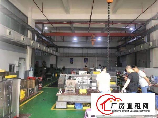  石排下沙原房东标准独院工业厂房3000平方招租（可分租）