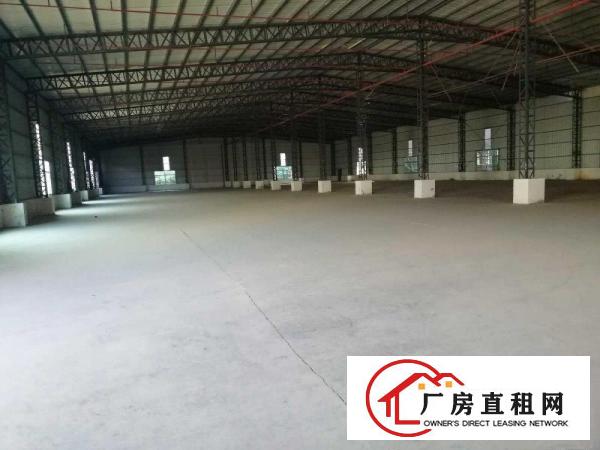  出租石排镇大型工业区原房东独院厂房单一层钢构