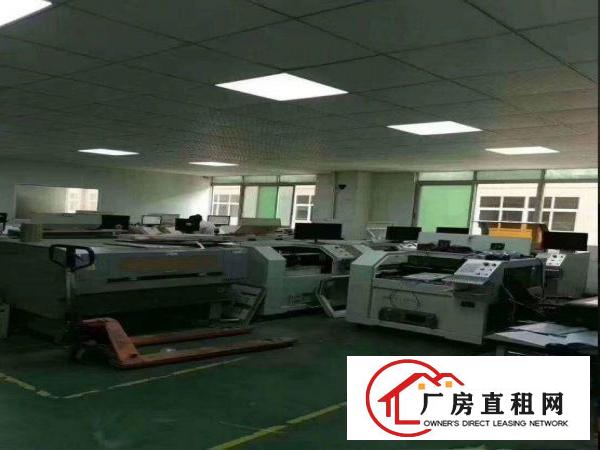 出租石排镇向西厂房二楼600平方，办公室精装修天花吊顶