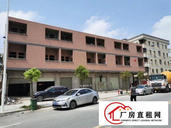  石排镇大型工业区一手厂房招租