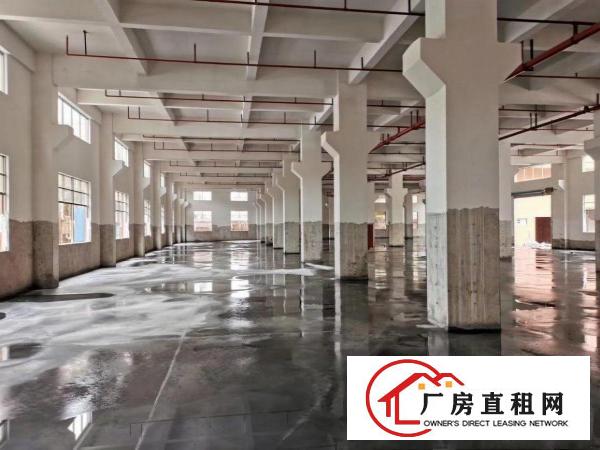  石排镇大型工业区一手厂房招租
