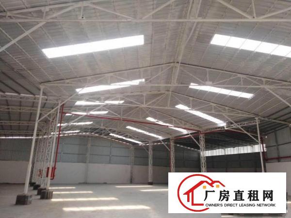  东莞石排全新独院单一层滴水8米厂房出租