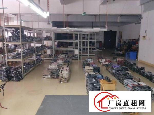  向西免押出租原房东厂房三楼630平方无公摊出租
