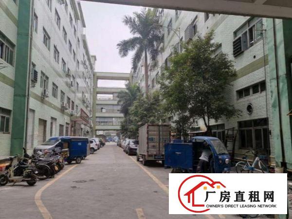  中坑标准厂房二楼950平可办环评可分租，交通方便