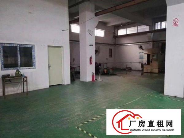  李家坊原房东一楼1100平方厂房出租实际面际