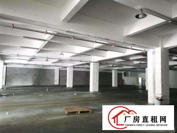  埔心一楼2080平厂房出租豪华装修超大停车场