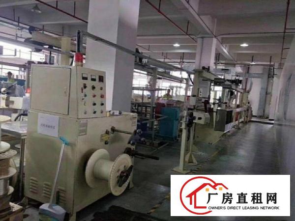  石排水贝免租期空出3楼1200平厂房带装修无公摊