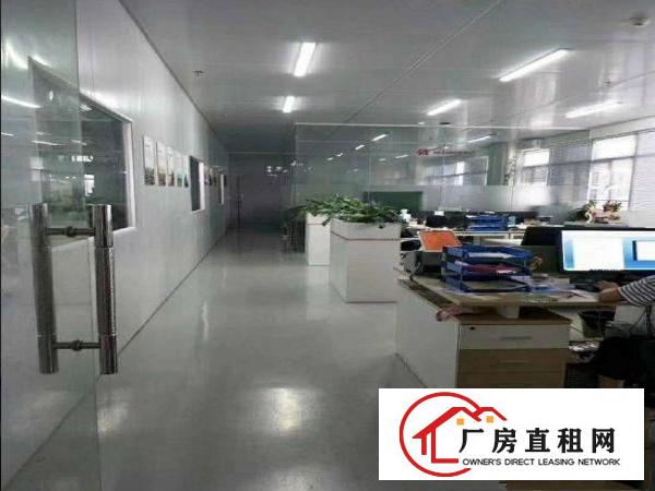  石排水贝免租期空出3楼1200平厂房带装修无公摊