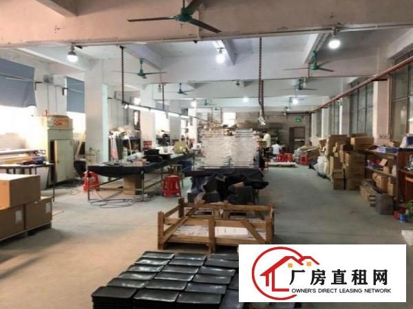  赤坎带现成地坪漆!玻璃办公室!水电齐全800平