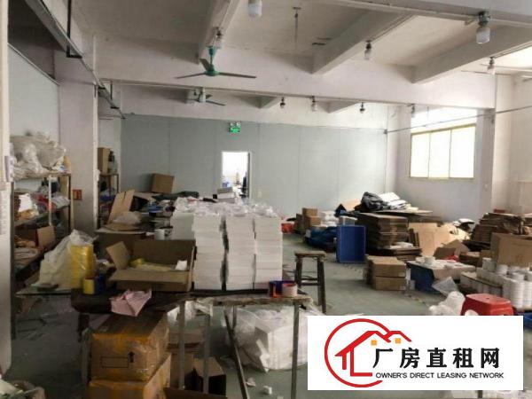  赤坎带现成地坪漆!玻璃办公室!水电齐全800平