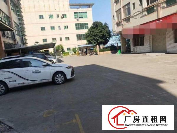  庙边王一楼2080招租豪华装修水电齐全可办环评