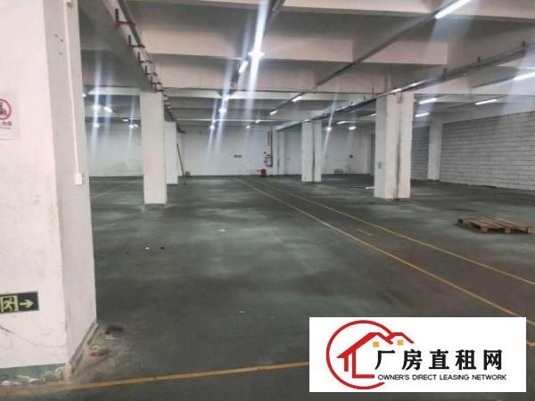  庙边王一楼2080招租豪华装修水电齐全可办环评