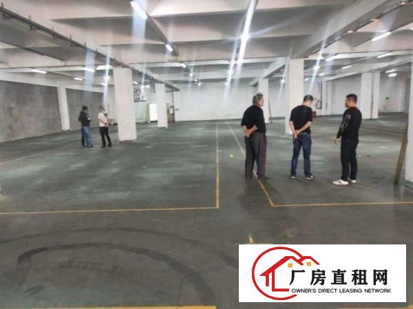  庙边王一楼2080招租豪华装修水电齐全可办环评