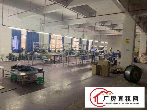  福隆新出精装修1500平厂房两个全新货梯，可办环评
