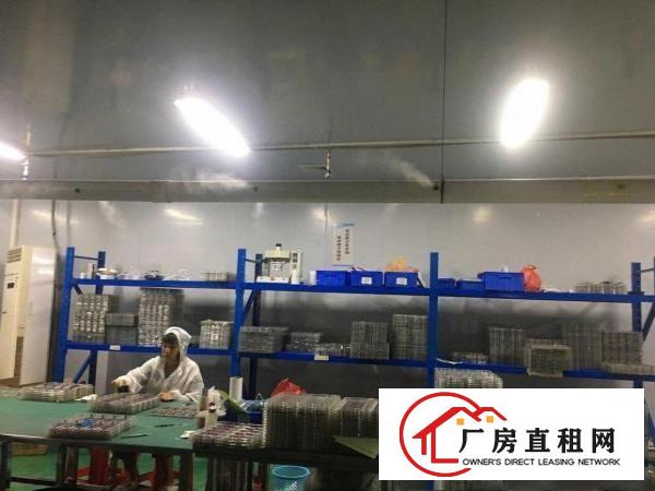  石排大道旁无尘车间，水电齐全，4楼，有电梯