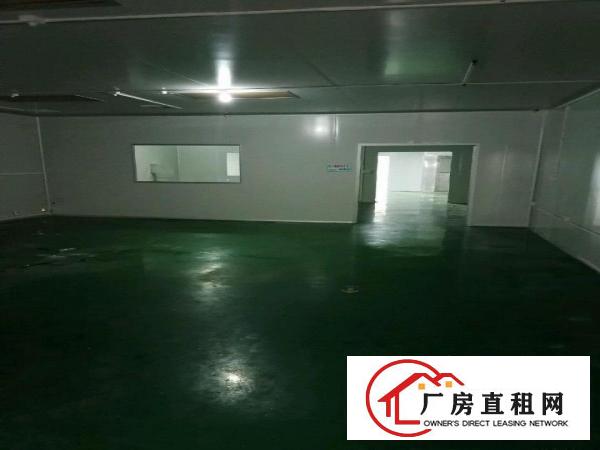  现成无尘车间厂房650方，便宜出租