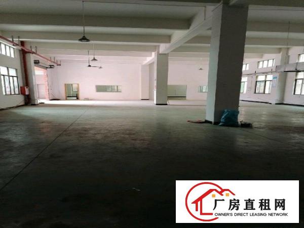  工业厂房，一楼650方
