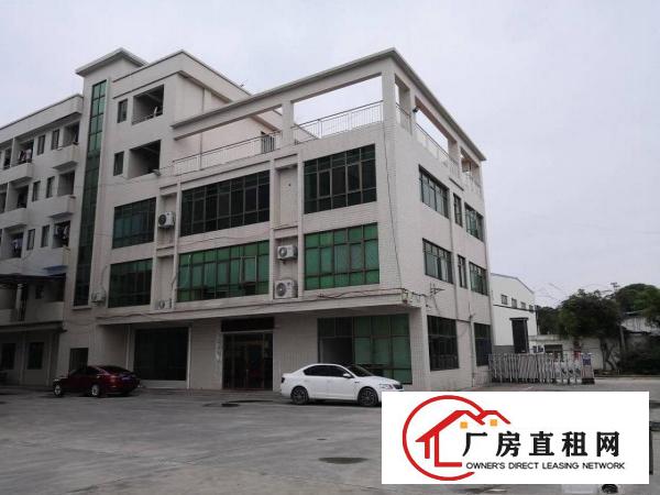  石排原房东一楼1300平方重工业标准厂房出租