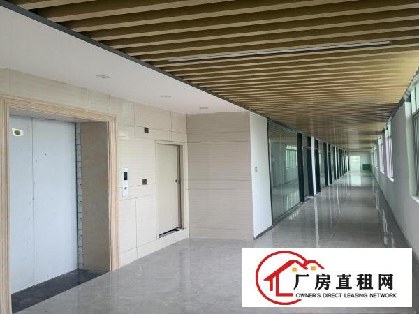  实图小公司创业起点豪华装修花园式现成装修厂房办公室大小可租