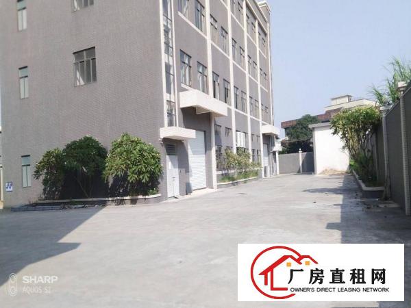  石排独门独院2000平方厂房形象好