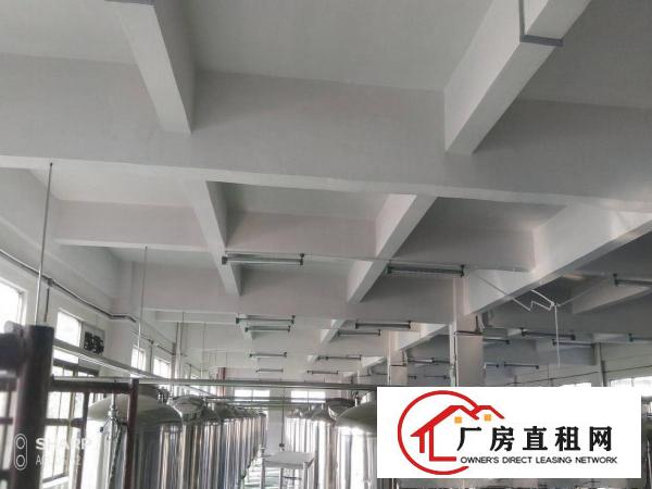  石排独门独院2000平方厂房形象好