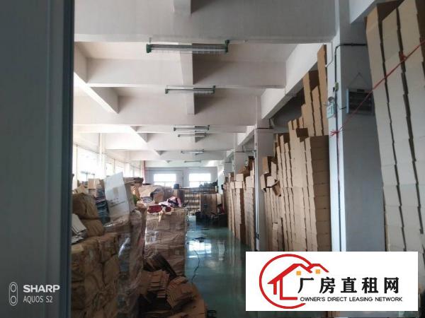  石排独门独院2000平方厂房形象好