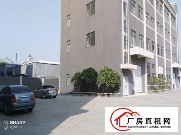  石排独门独院2000平方厂房形象好