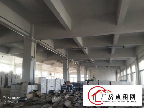  石排独门独院2000平方厂房形象好