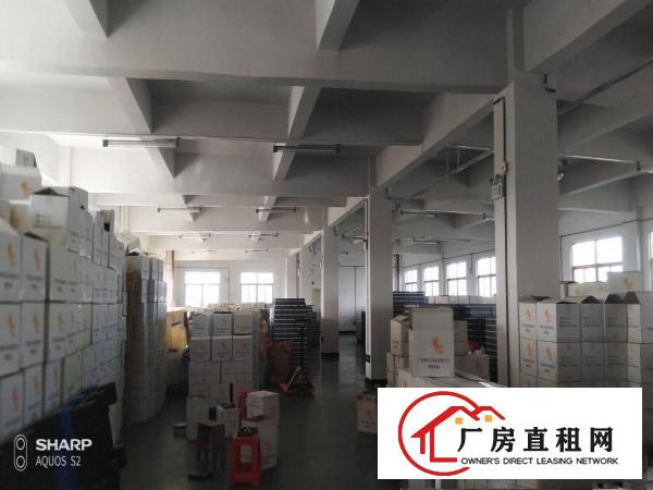  石排独门独院2000平方厂房形象好