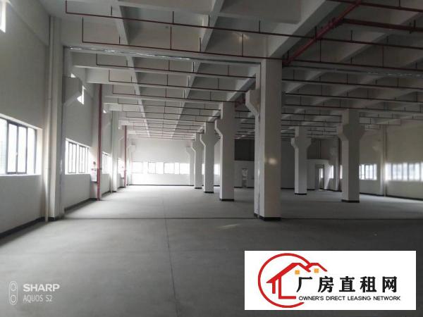  石排独门独院2000平方厂房形象好