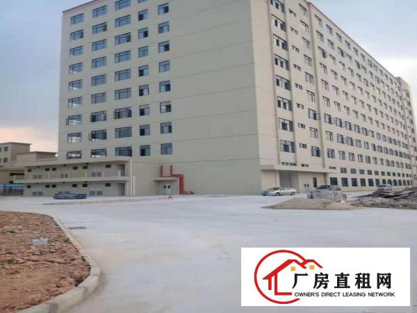  石排向西标准工业园厂房分租600~3000平方，可办环评
