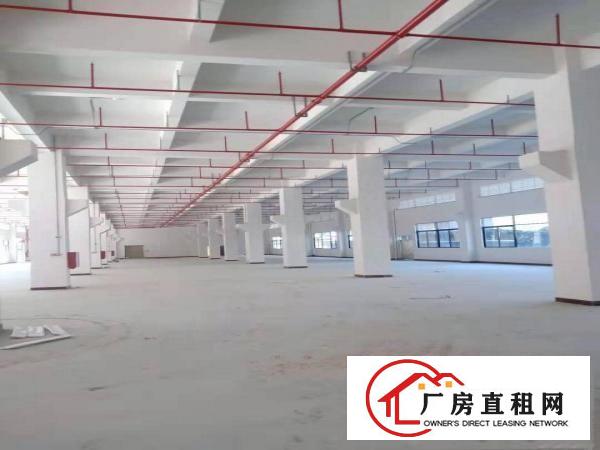  石排向西标准工业园厂房分租600~3000平方，可办环评
