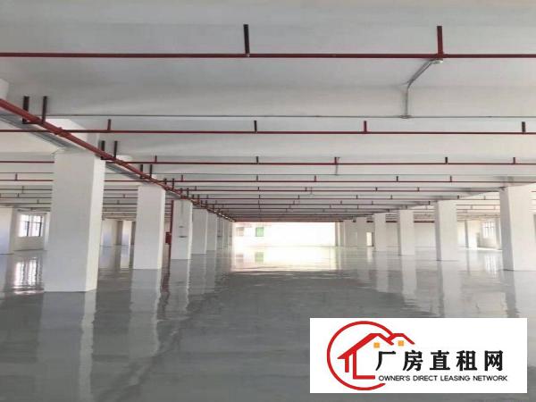  石排向西标准工业园厂房分租600~3000平方，可办环评