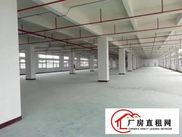  庙边王2楼厂房分租，1000方，租10元！有电梯，电150
