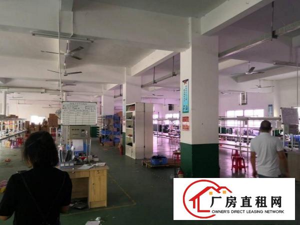  石排原房东厂房二楼800平方米出租，水电齐全