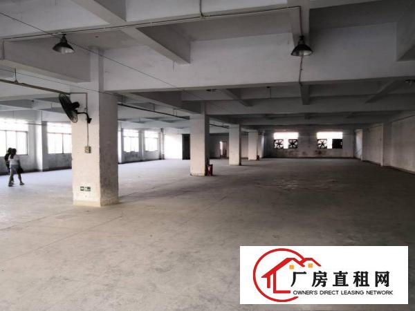  石排原房东厂房二楼800平方米出租，水电齐全