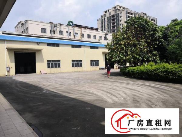  石排独院3600平方单一层厂房招租，可分租