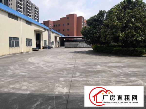  石排独院3600平方单一层厂房招租，可分租