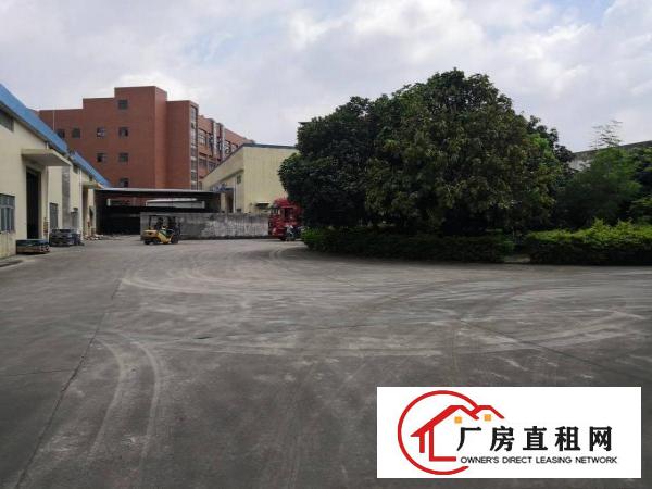  石排独院3600平方单一层厂房招租，可分租