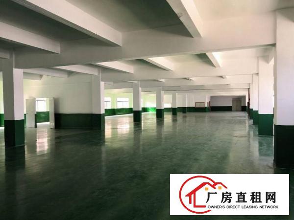  石排原房东厂房二楼900方至1600方出租，水电办公室齐全