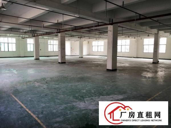  石排原房东厂房二楼900方至1600方出租，水电办公室齐全