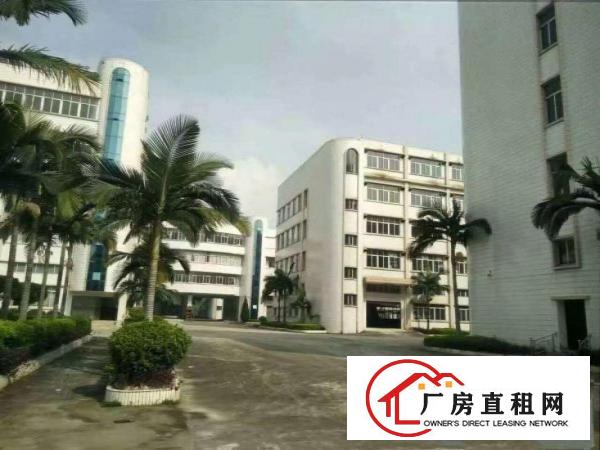  石排工业区厂房出租大小分租