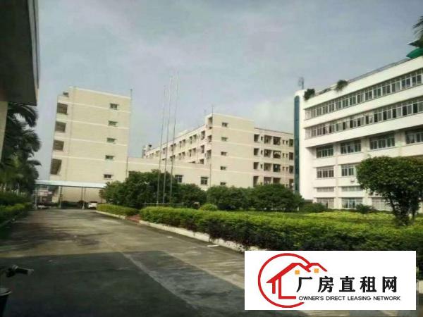  石排工业区厂房出租大小分租