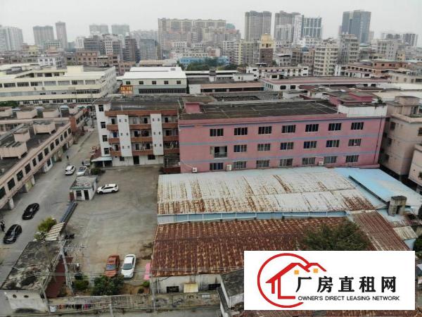  3800平方原房东独院标准厂房出租