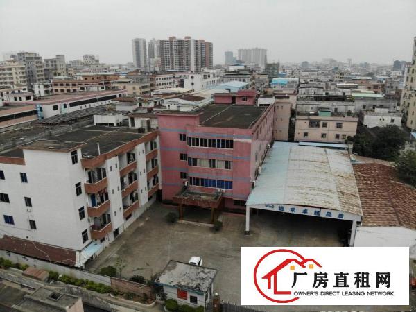  3800平方原房东独院标准厂房出租