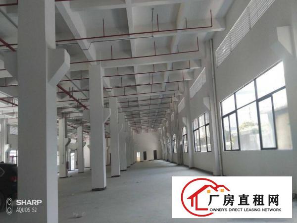  独院厂房原房东分租2000平方