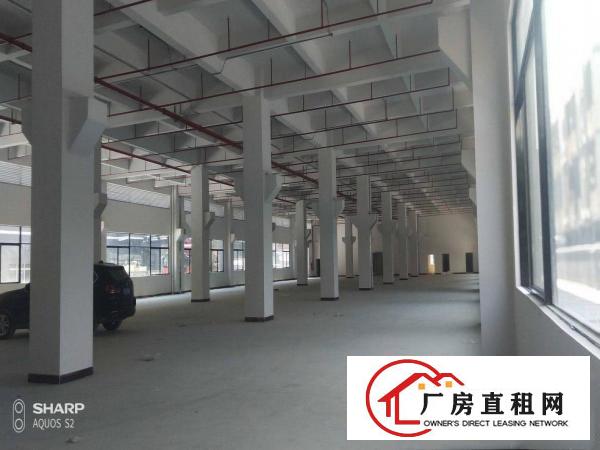  独院厂房原房东分租2000平方