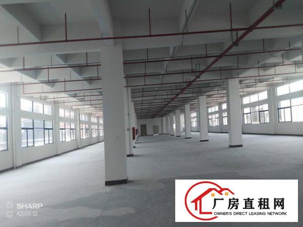  独院厂房原房东分租2000平方