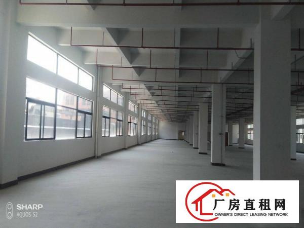  独院厂房原房东分租2000平方